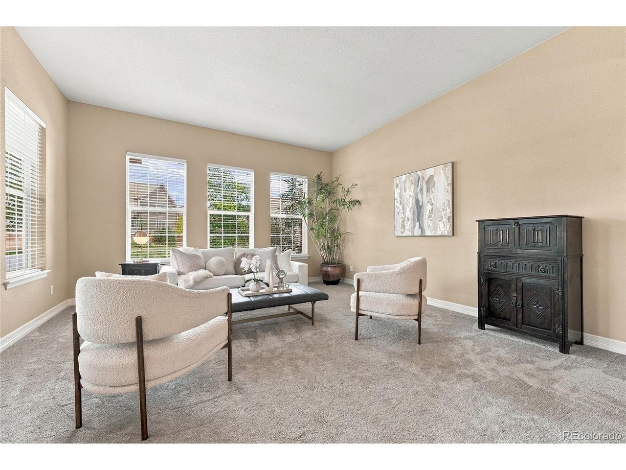 4836 Sedona Cir, Parker, CO 80134 photo