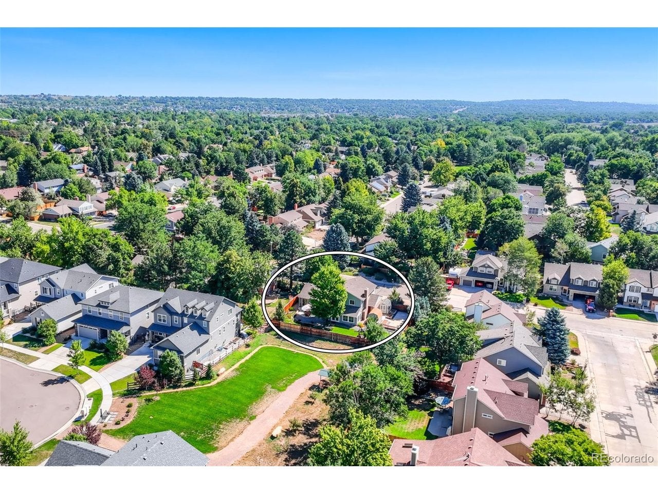 7025 Gladiola St, Arvada, CO 80004 photo
