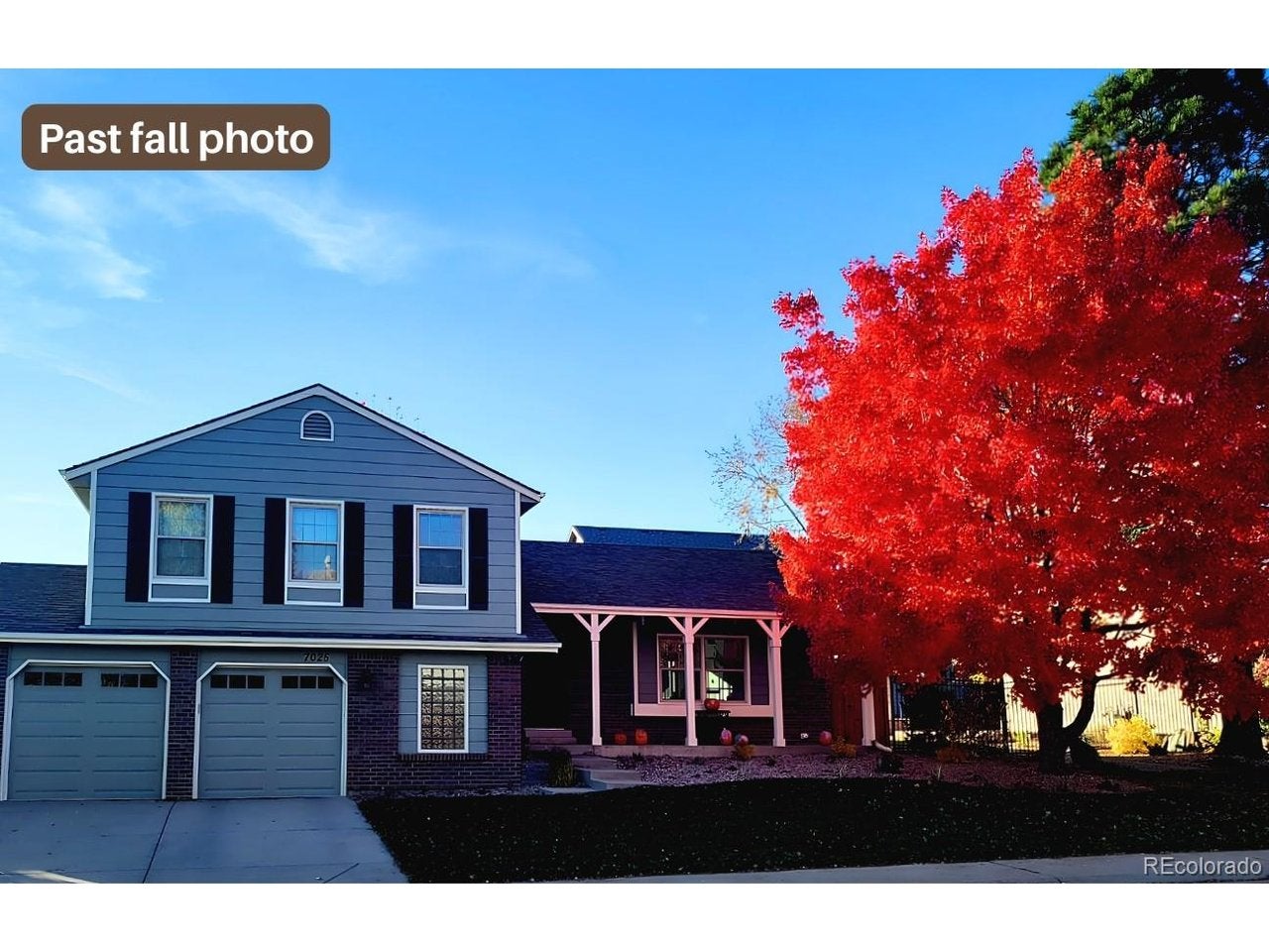 7025 Gladiola St, Arvada, CO 80004 photo
