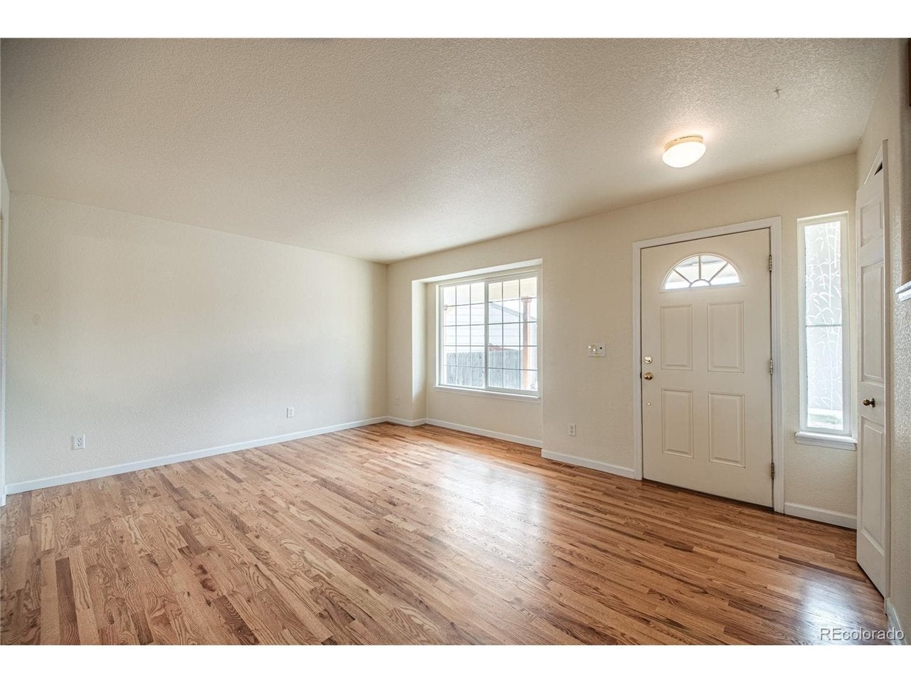 7119 Lone Eagle Ln, Colorado Springs, CO 80925 photo