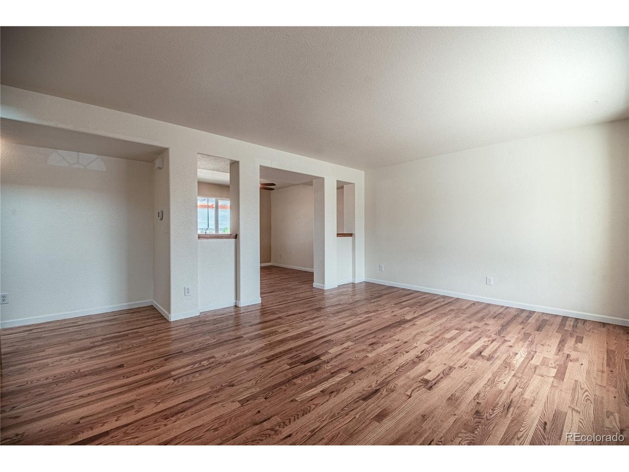 7119 Lone Eagle Ln, Colorado Springs, CO 80925 photo