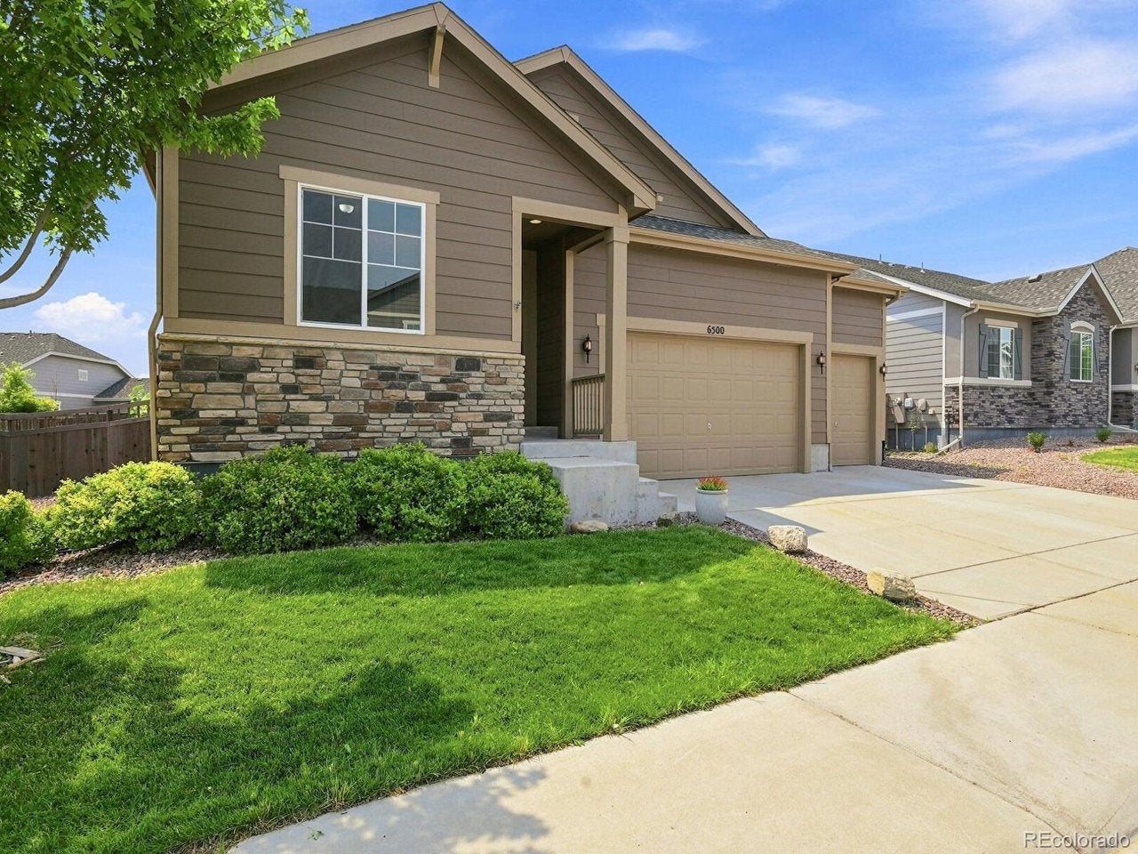 6500 Agave, Castle Rock, CO 80108 photo