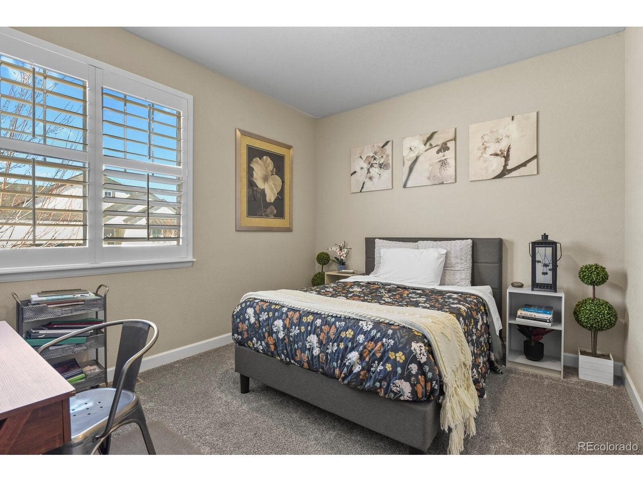 6180 Leilani Dr, Castle Rock, CO 80108 photo