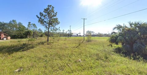 Unimproved Land in Perry FL xxx N Peacock Avenue.jpg