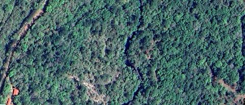 Unimproved Land in Sopchoppy FL Clay Revell Road.jpg