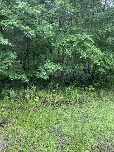 Unimproved Land in Lee FL 0 NE CASSIA Drive.jpg