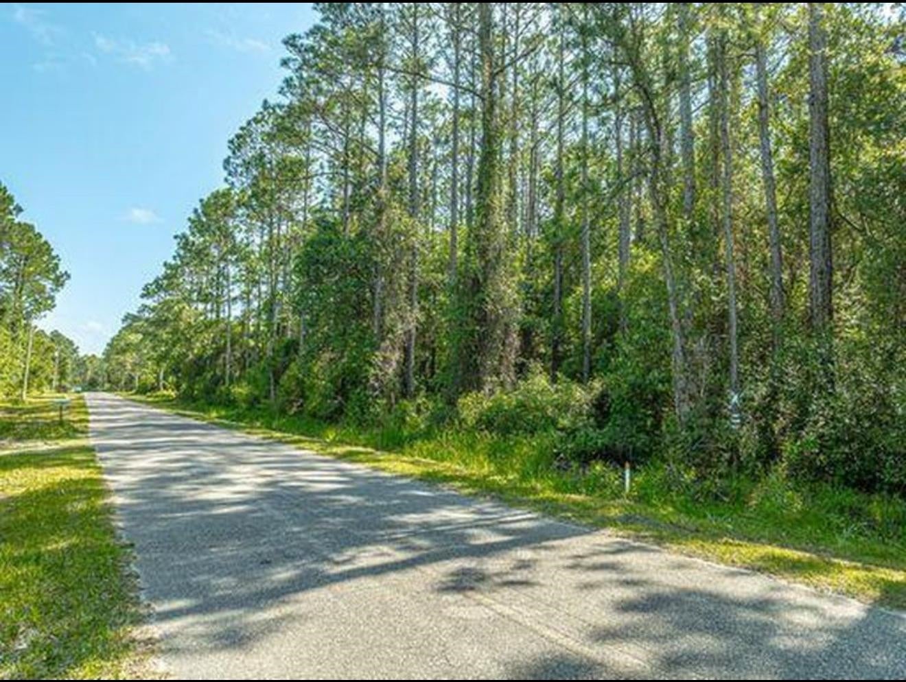 118 Delaine Cir, Eastpoint, FL 32328 photo
