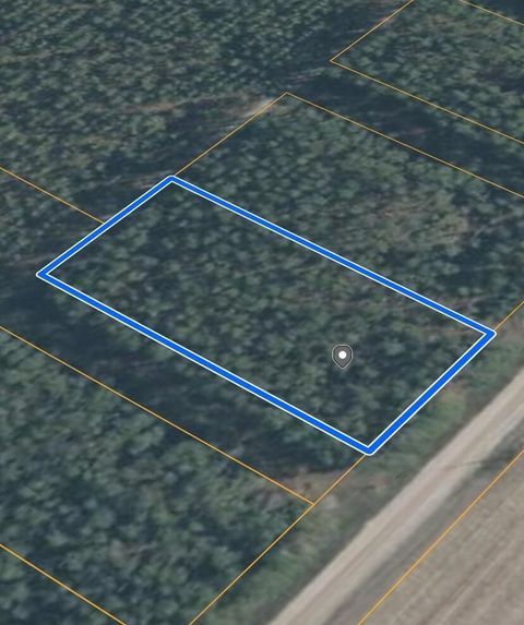 Unimproved Land in Lee FL 0 NE Cottonwood Street.jpg