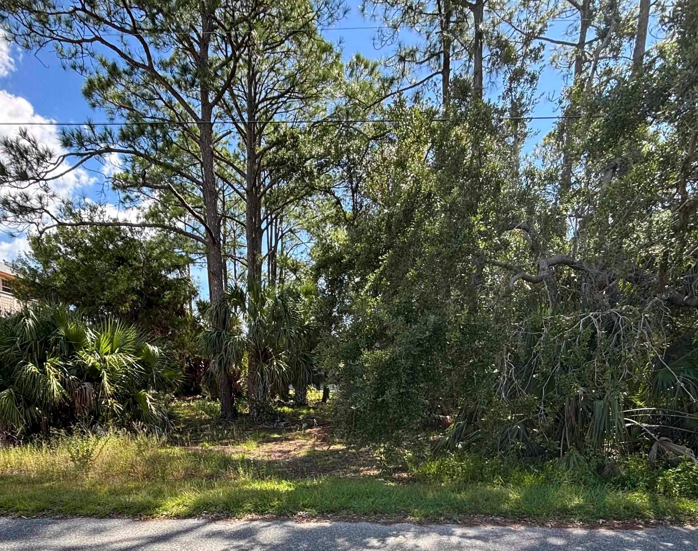 33 Blue Heron Way, Panacea, FL 32346 photo