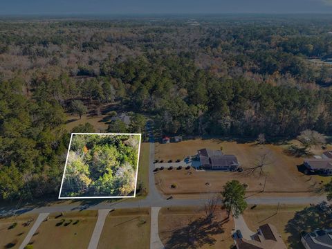 Unimproved Land in Midway FL 0 Hayward Dupont Road.jpg