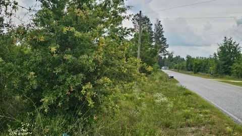 Unimproved Land in Lee FL Beulah Church Road.jpg