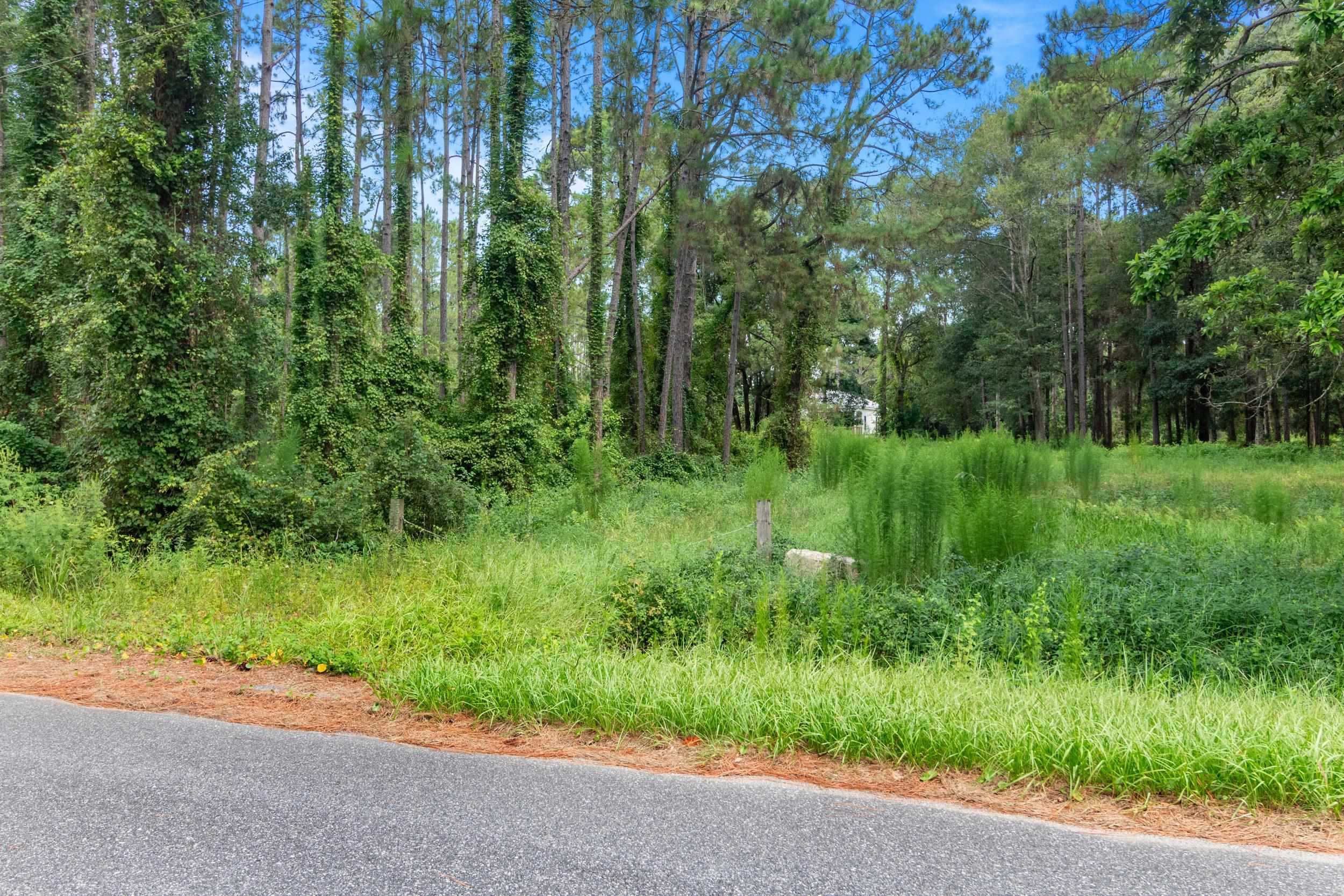 211 Franklin St, Carrabelle, FL 32322 photo