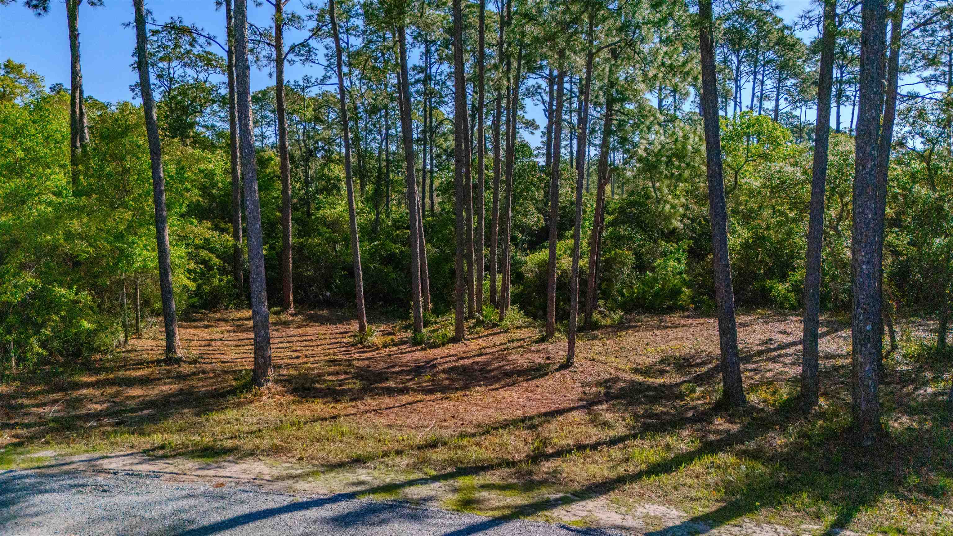 3493 Firefly Cir, Sopchoppy, FL 32358 photo