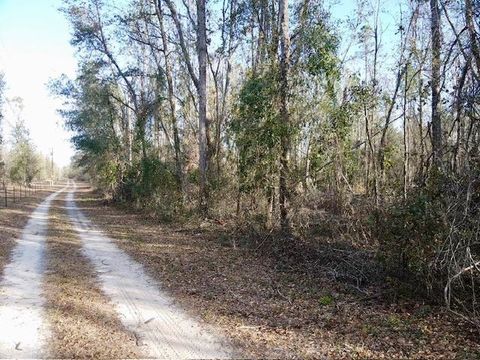 Unimproved Land in Pinetta FL NE Cedar Trail.jpg