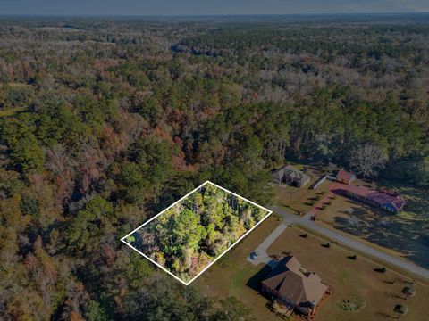 Unimproved Land in Midway FL 0 Hayward Dupont Road.jpg