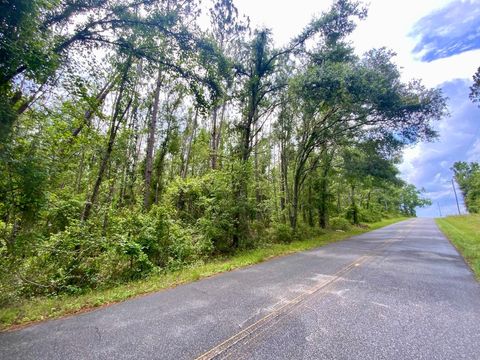 Unimproved Land in Lee FL Vacant NE Old Blue Springs Road.jpg