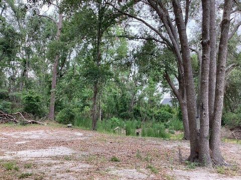 Unimproved Land in Lee FL 317 SE Centerwood Lane.jpg