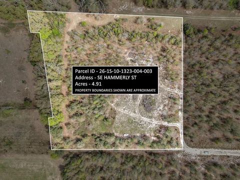 Unimproved Land in Lee FL xxx SE HAMMERLY ST.jpg
