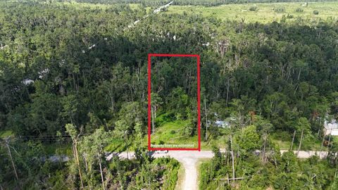 Unimproved Land in Lee FL 000 NE Blue Springs Church Rd.jpg