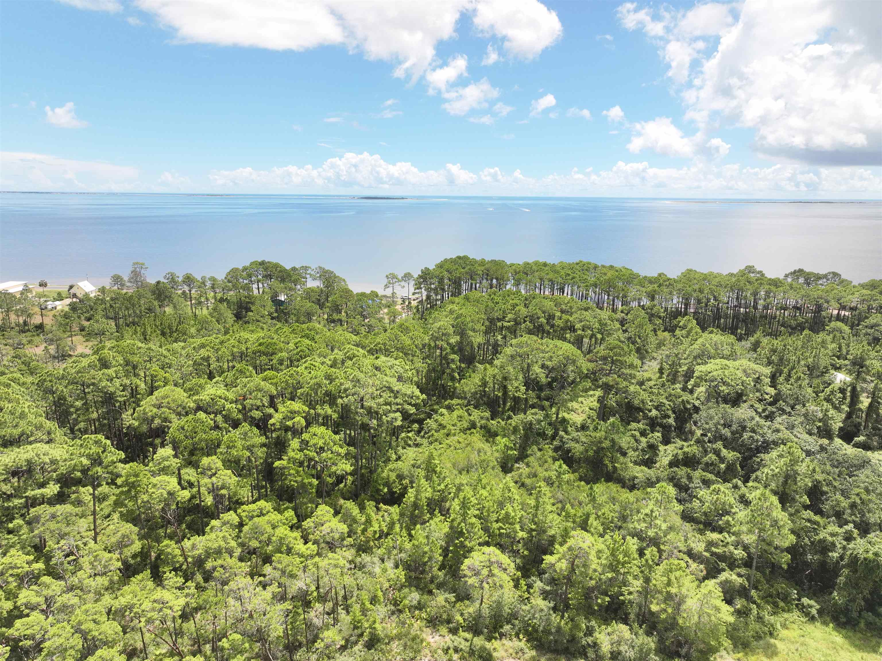 XX Woodill Rd, Carrabelle, FL 32322