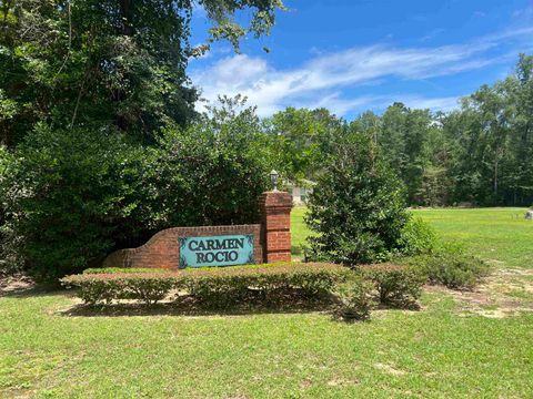Unimproved Land in Crawfordville FL Lot 21 Carmen Rocio Lane.jpg