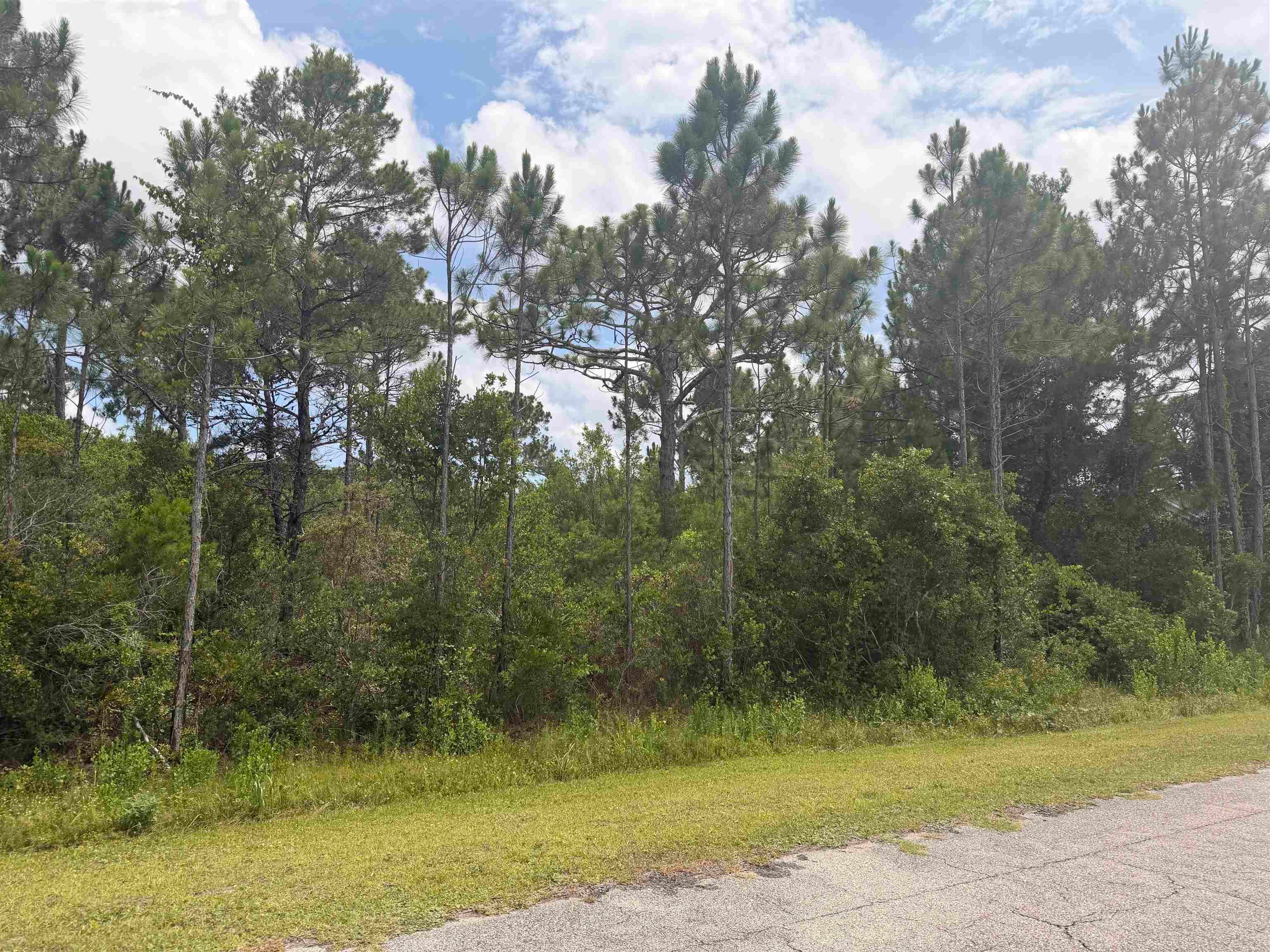 710 Timber Rdg, Eastpoint, FL 32328