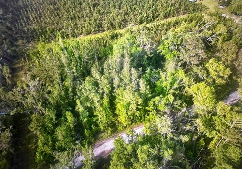 Unimproved Land in Pinetta (Madison County) FL 000 NE Rue Drive.jpg