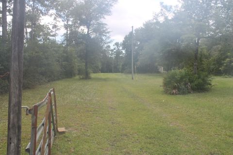 Unimproved Land in Sopchoppy FL 90 Mathis Road Rd.jpg