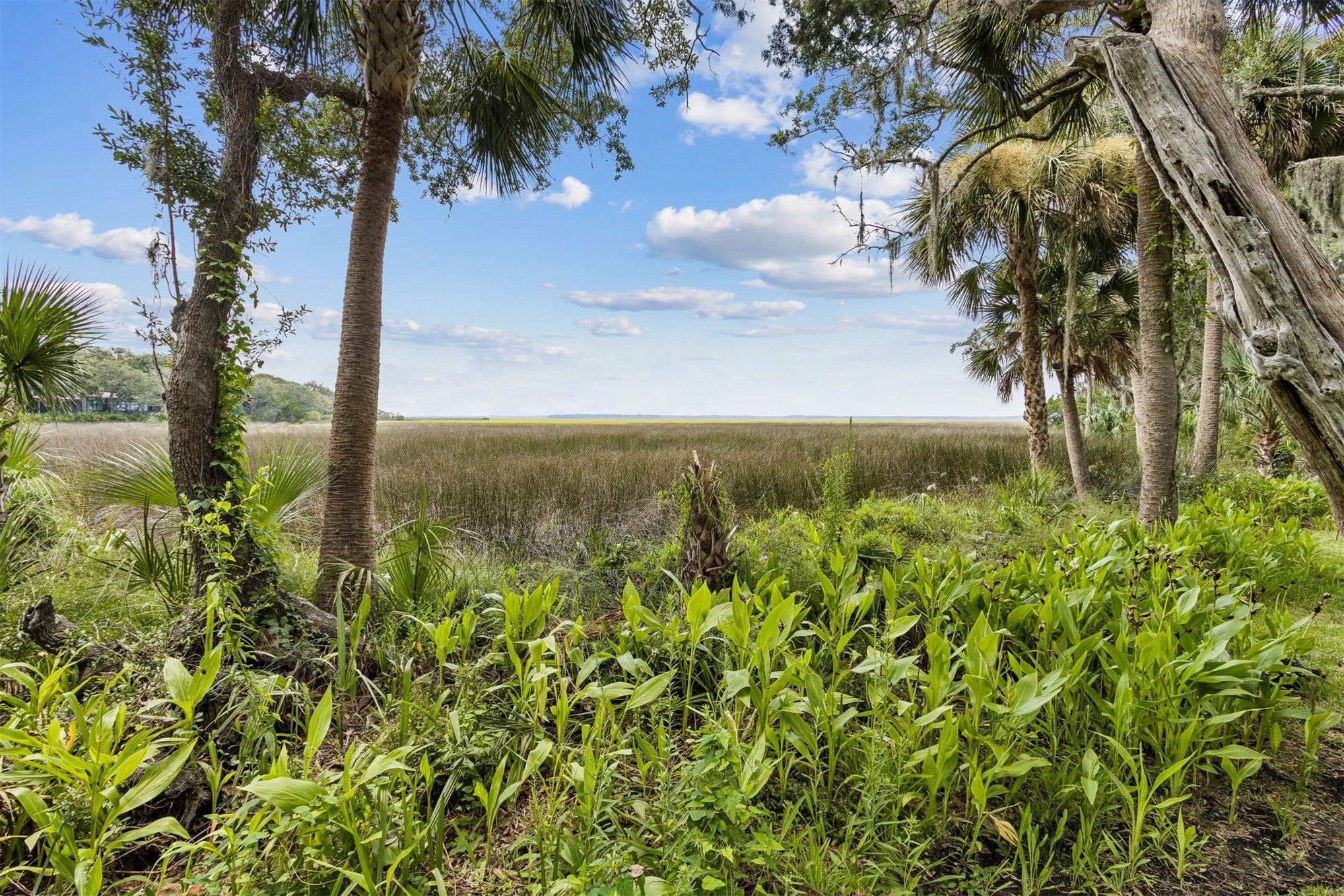 3409 Sea Marsh Rd #3409, Fernandina Beach, FL 32034 photo