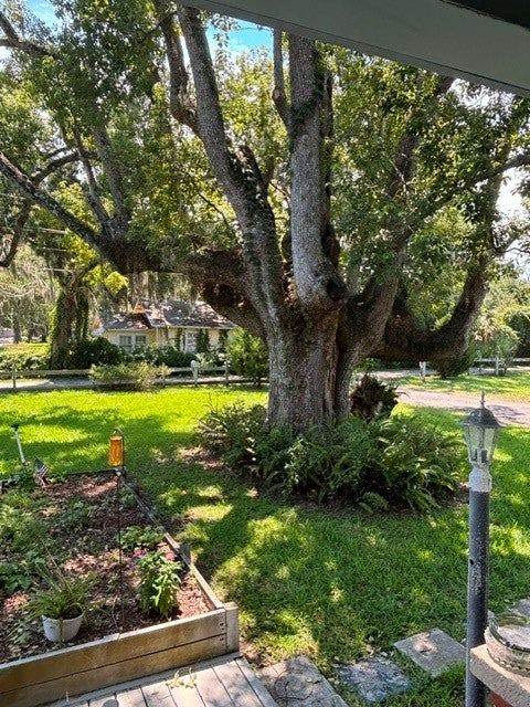 1955 Sycamore Ln, Fernandina Beach, FL 32034 photo