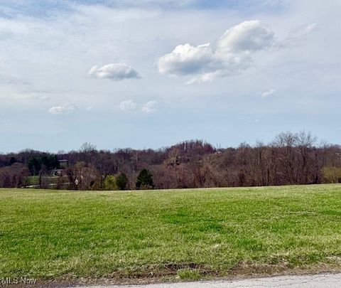  in Wellsburg WV Ellen Drive.jpg