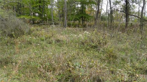  in Weirton WV Bryden Rd - Lot # 40.jpg