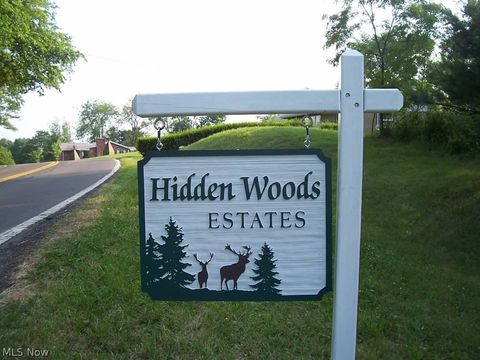  in Weirton WV Wylie Ridge Road.jpg