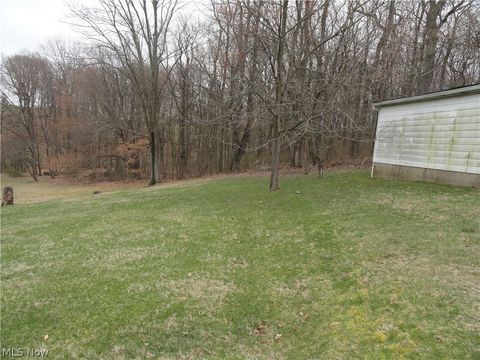 Single Family Residence in New Cumberland WV 1872 Mayhew Road 5.jpg