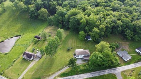 Single Family Residence in New Cumberland WV 1872 Mayhew Road 37.jpg