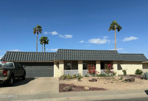 Single Family Residence in Sun City AZ 10706 Pinion Lane.jpg