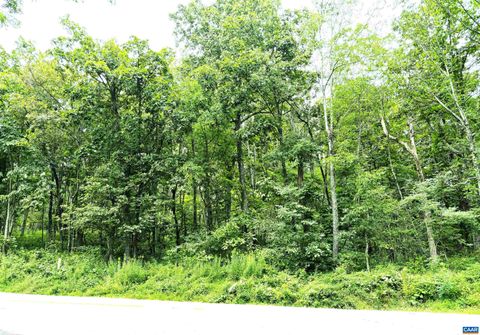  in WINTERGREEN RESORT VA 455 Laurel Springs Dr.jpg