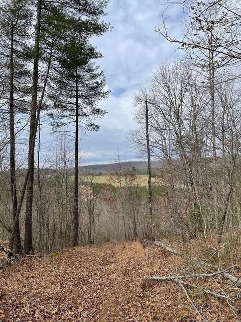  in CRAIGSVILLE VA 70-131 Estaline Valley Rd.jpg