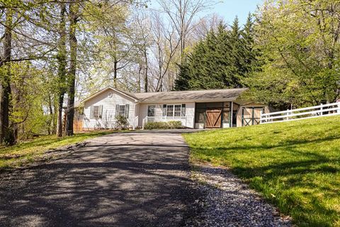 Single Family Residence in STAUNTON VA 445 Peach St.jpg