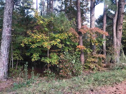  in Cowpens SC 00 Crenshaw Road 1.jpg