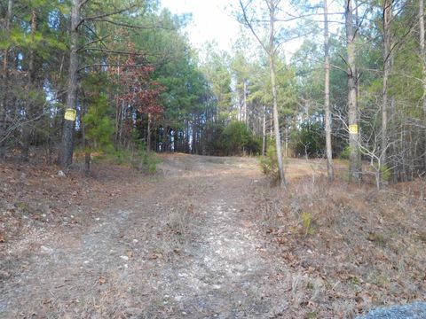  in Smyrna SC TBD Tanner Road.jpg