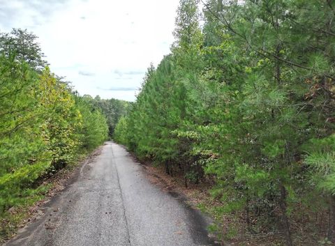 Unimproved Land in Braswell GA 52 Skyline Drive.jpg