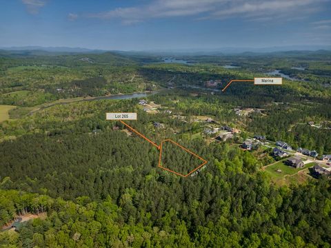 Unimproved Land in Blairsville GA Lot 265 Thirteen Hundred S/D.jpg