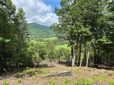 Unimproved Land in Hiawassee GA 17 Buckhead Hills.jpg