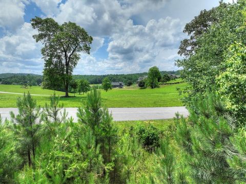Unimproved Land in Blairsville GA LOT 141 Fox Lake.jpg