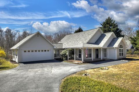 Single Family Residence in Blue Ridge GA 4299 Ada Street.jpg
