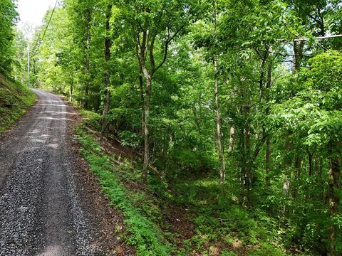 Unimproved Land in Hiawassee GA 14B & C Rainbow Ridge.jpg