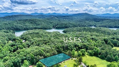 Single Family Residence in Blairsville GA 175 Loblolly Lane 5.jpg