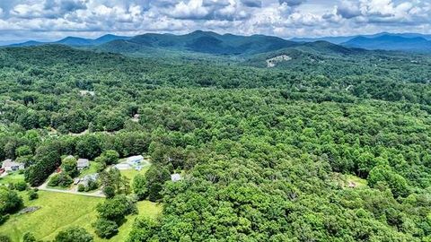 Single Family Residence in Blairsville GA 175 Loblolly Lane 56.jpg