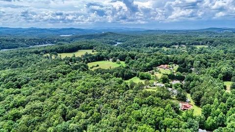 Single Family Residence in Blairsville GA 175 Loblolly Lane 58.jpg